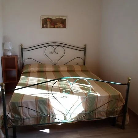 Ada 티기아노